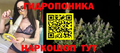 бошки Аргун