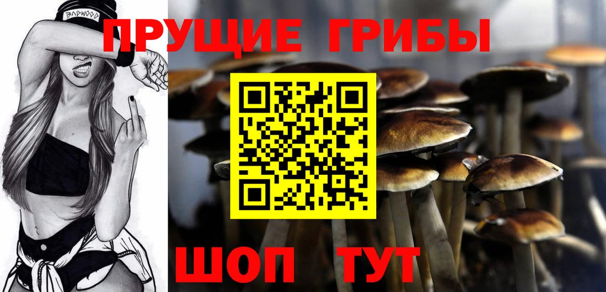 Псилоцибиновые грибы Magic Shrooms Артём