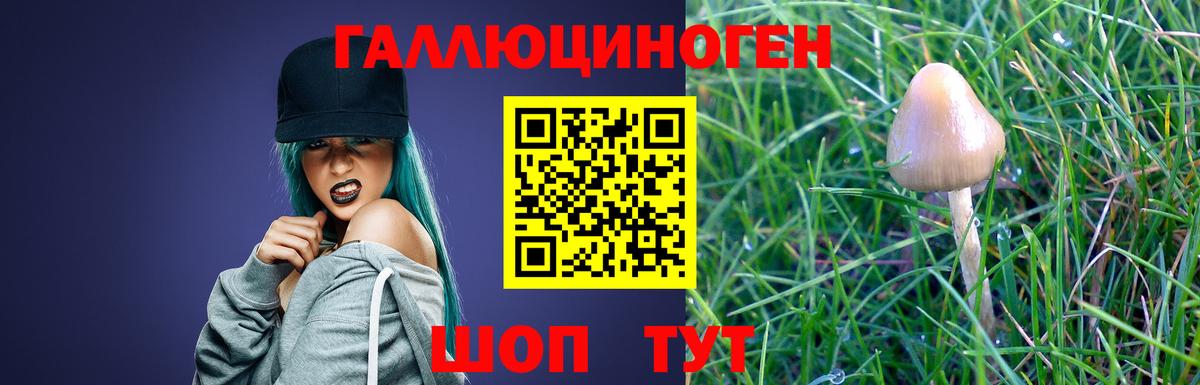 Псилоцибиновые грибы GOLDEN TEACHER  Галлюциногенные грибы Psilocybe  Вход с VPN  где найти наркотики  Артём 